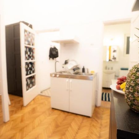 Cozy Studio Near Cismigiu Park Lejlighed Bukarest Eksteriør billede