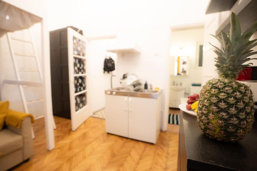 Cozy Studio Near Cismigiu Park Lejlighed Bukarest Eksteriør billede
